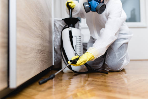Best Pest Control Treatment  in Canal Winchester, OH