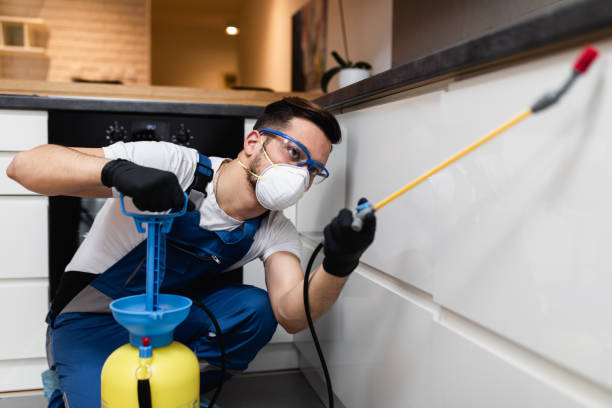 Best Pest Inspection Near Me  in Canal Winchester, OH