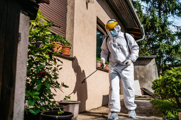 Best Cockroach Control Services  in Canal Winchester, OH