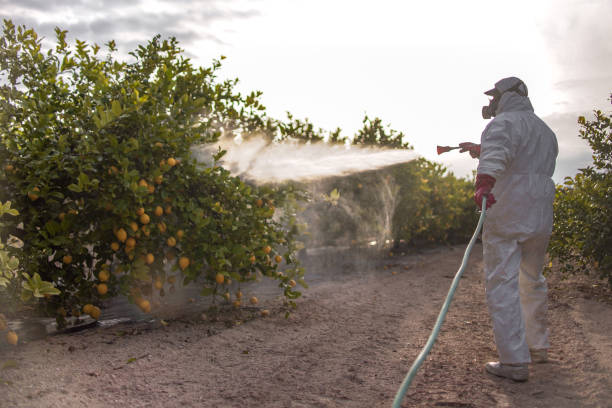 Best Pest Removal Services  in Canal Winchester, OH