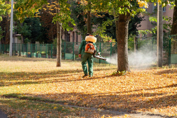 Best Local Pest Control Services  in Canal Winchester, OH