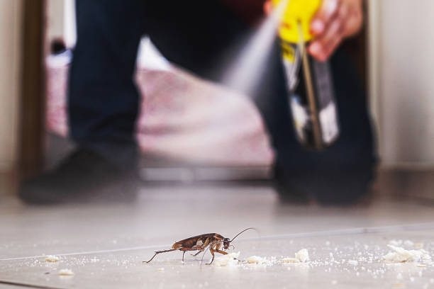  Canal Winchester, OH Pest Control Pros