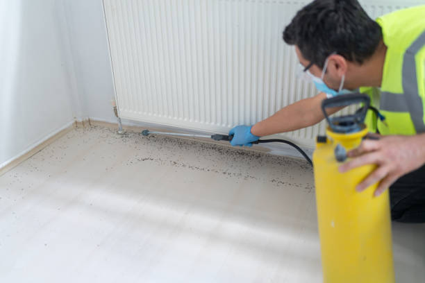 Best Residential Pest Control  in Canal Winchester, OH