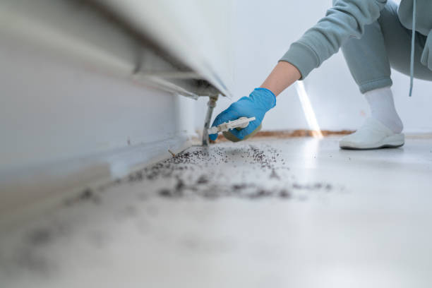 Best Emergency Pest Control  in Canal Winchester, OH
