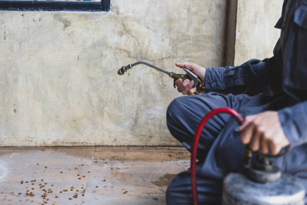 Best Pest Inspection Near Me  in Canal Winchester, OH